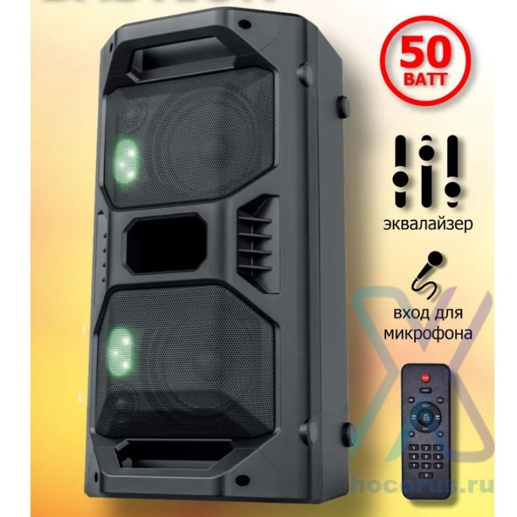 Defender Enjoy S800: Altoparlante Bluetooth 10W, TWS, Radio FM, USB, MicroSD, AUX, Vivavoce, Porta Type-C, Maniglia Trasporto