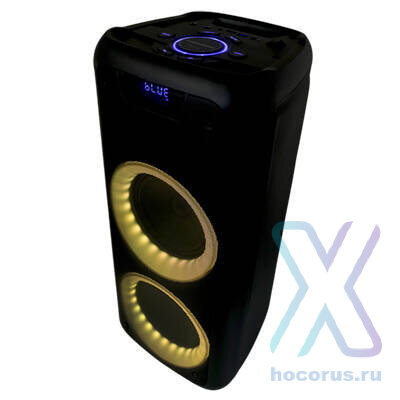 Портативная колонка  Nakatomi  GS-40 50W FM USB Bluetooth микрофон оптом