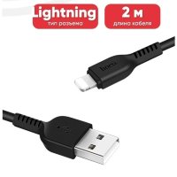 Кабель USB HOCO X20 Flash, USB - Lightning, 2.4А, 2 м, черный 6957531068860 (МСК)