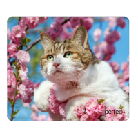 Perfeo Коврик для компьютерной мыши "Cat", Рис.33 (194*233*3 мм), полипропилен+вспененный пластик