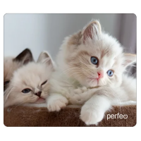 Perfeo Коврик для компьютерной мыши "Cat", Рис.2 (350*300*3 мм), ткань+резиновое основание